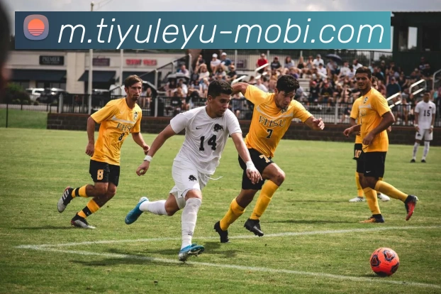 乐鱼体育平台生态图